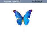 第2章 軸對(duì)稱圖形復(fù)習(xí) 蘇科版八年級(jí)數(shù)學(xué)上冊(cè)課件