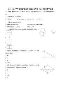 2023-2024学年山东省青岛市市北区九年级（上）期末数学试卷（含解析）