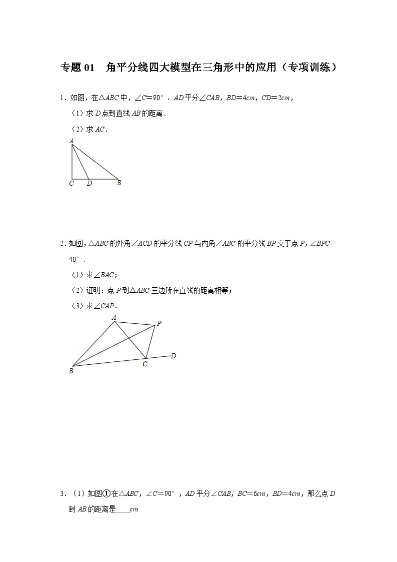 2024年中考数学专题训练 专题01  角平分线四大模型在三角形中的应用（专项训练）（原卷版+解析）01