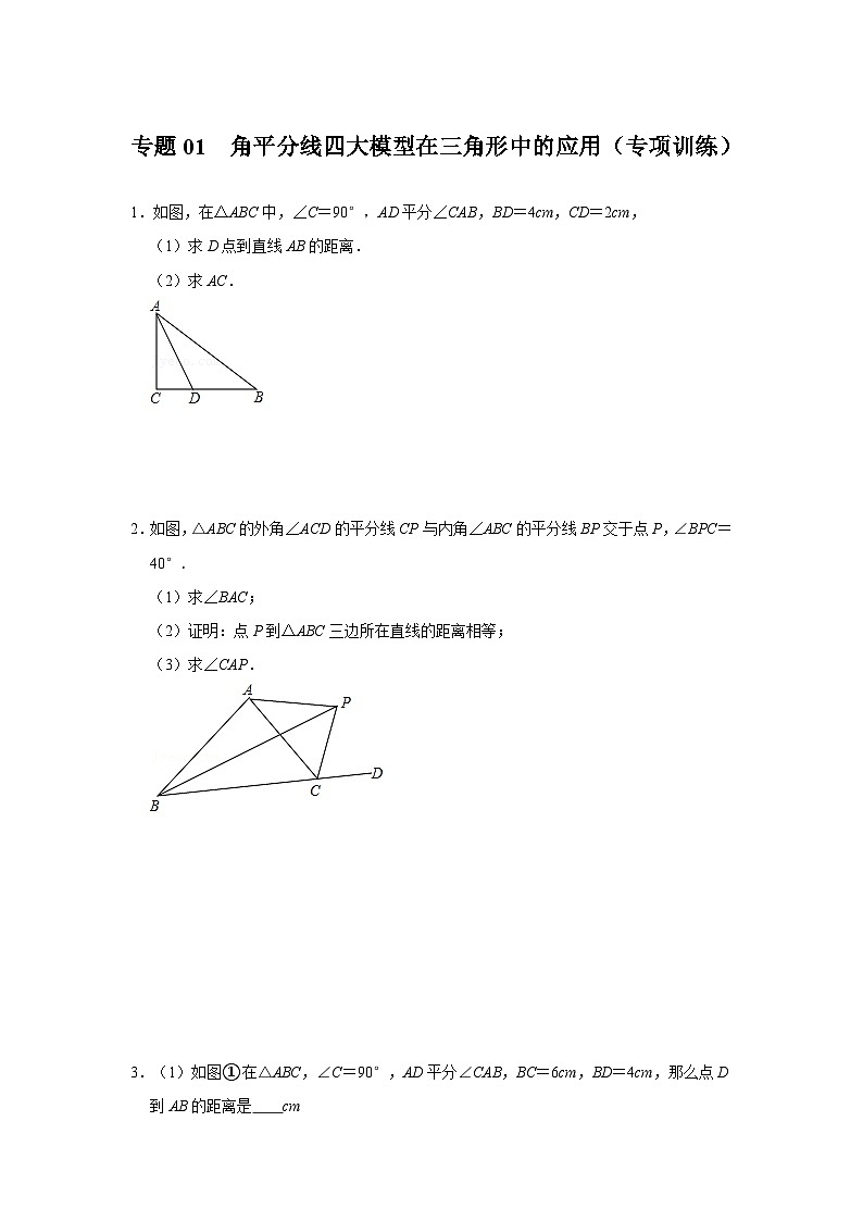 2024年中考数学专题训练 专题01  角平分线四大模型在三角形中的应用（专项训练）（原卷版+解析）01