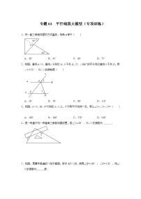 2024年中考数学专题训练 专题03  平行线四大模型（专项训练）(原卷版+解析）