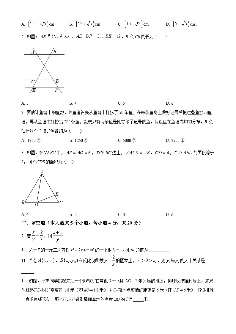 精品解析：四川省成都市双流区实外西区学校2023-2024学年九年级上学期期中数学试题（原卷版）第2页