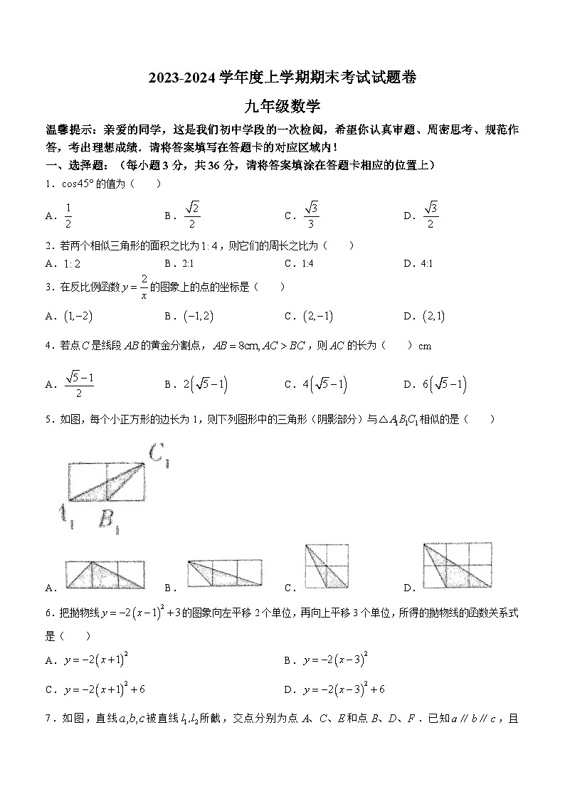 广西壮族自治区梧州市岑溪市2023-2024学年九年级上学期期末数学试题01