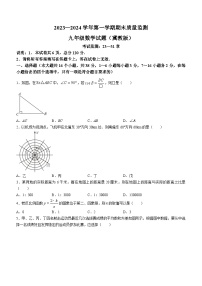 河北省邢台市襄都区2023-2024学年九年级上学期期末数学试题