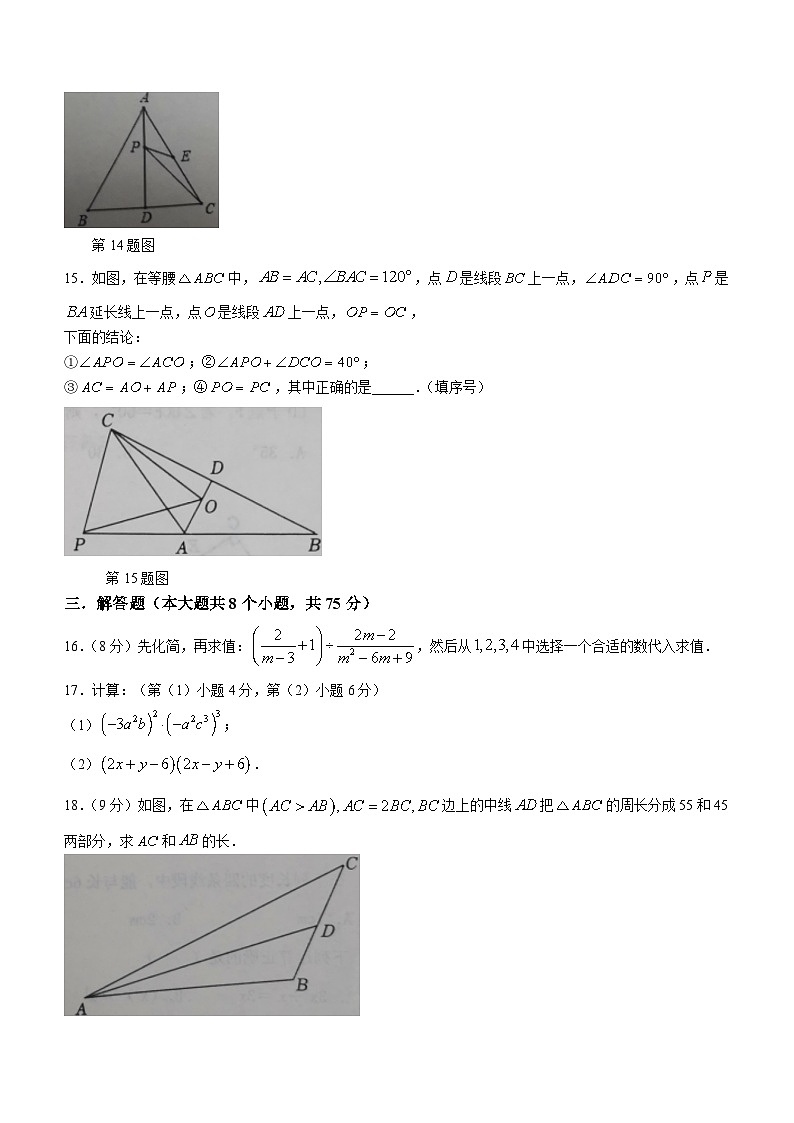 河南省商丘市民权县2023-2024学年八年级上学期期末数学试题第3页