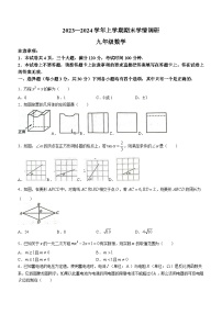 河南省郑州市新郑市2023-2024学年九年级上学期期末数学试题