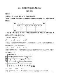 河南省南阳市淅川县2023-2024学年八年级上学期期末数学试题（含答案）