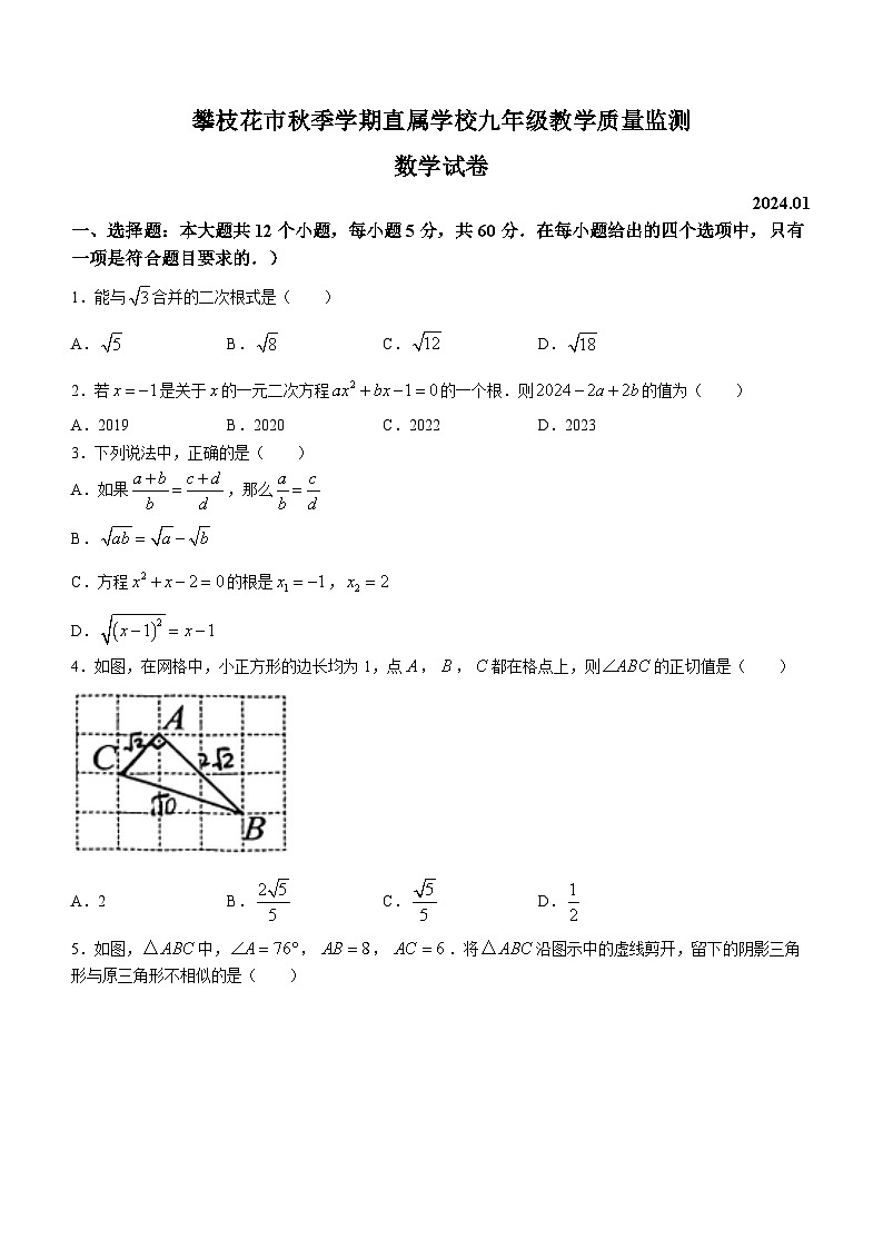 21，四川省攀枝花市直属学校2023-2024学年九年级上学期期末数学试题()第1页