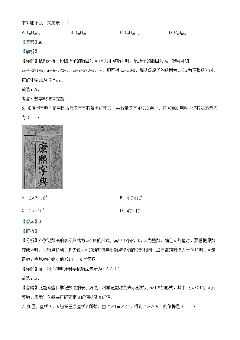 29，河南省洛阳市伊川县2023-2024学年七年级上学期期末数学试题第3页