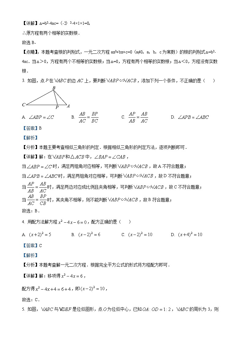 38，四川省成都市金牛区2023-2024学年九年级上学期期末数学试题02