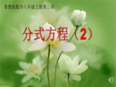 鲁教版（五四制）数学八年级上册 2.4 解分式方程课件