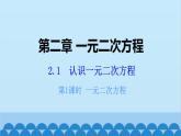 北师大版数学九年级上册 2.1 第1课时 一元二次方程课件