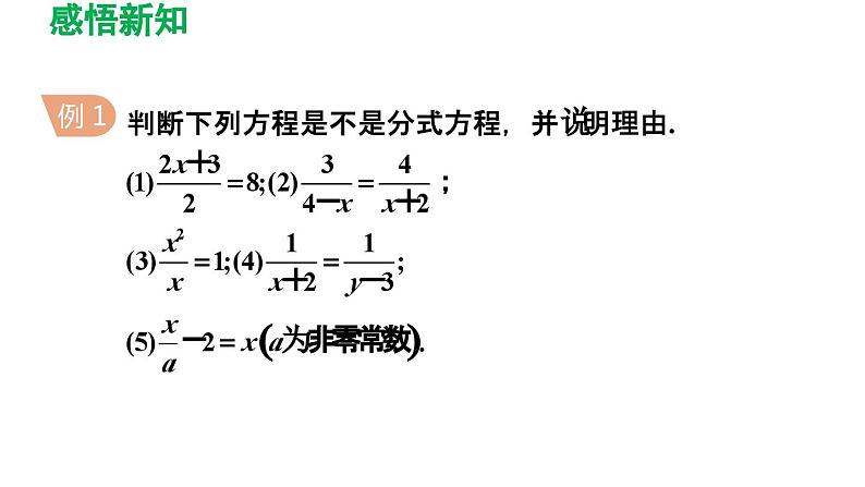 16.3 可化为一元一次方程的分式方程 华师大版八年级数学下册导学课件06