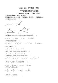 海南省省直辖县级行政单位屯昌县2023-2024学年八年级上学期期末数学试题(无答案)