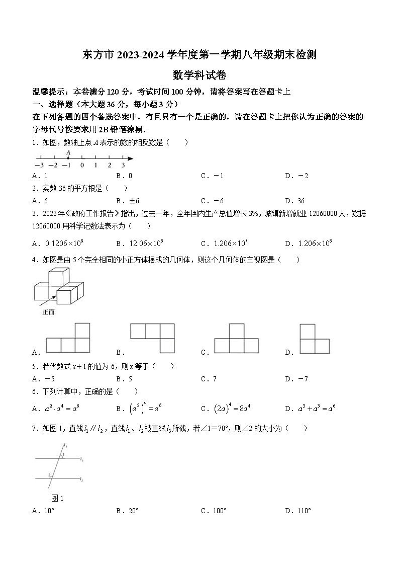 海南省省直辖县级行政单位东方市2023-2024学年八年级上学期期末数学试题(无答案)01