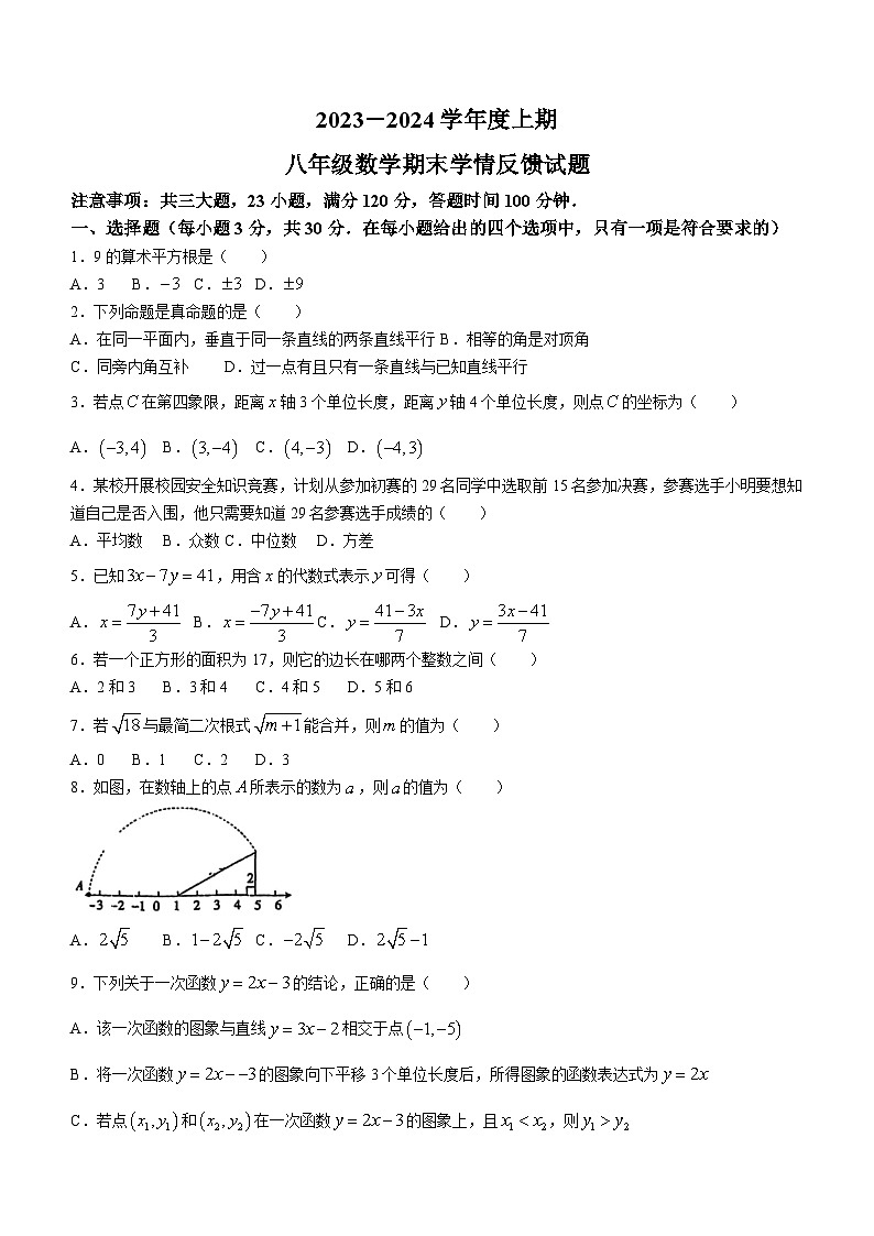 河南省驻马店市驿城区重点中学2023-2024学年八年级上学期期末数学试题(无答案)01