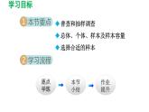 28.1 抽样调查的意义 华师大版数学九年级下册导学课件