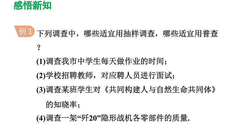 28.1 抽样调查的意义 华师大版数学九年级下册导学课件第6页