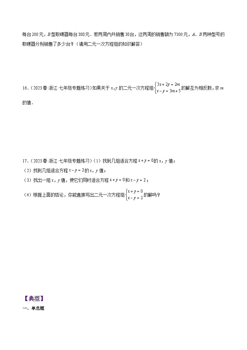 第2章 二元一次方程组（基础、典型、易错、压轴）分类专项训练（原卷版）第3页