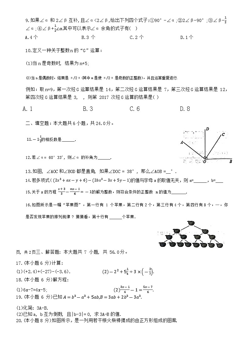 62，山东省德州市第九中学2023-2024学年七年级下学期开学数学试题02