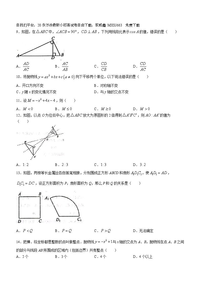 76，河北省廊坊市育人学校2023-2024学年九年级下学期开学测试数学试题()02
