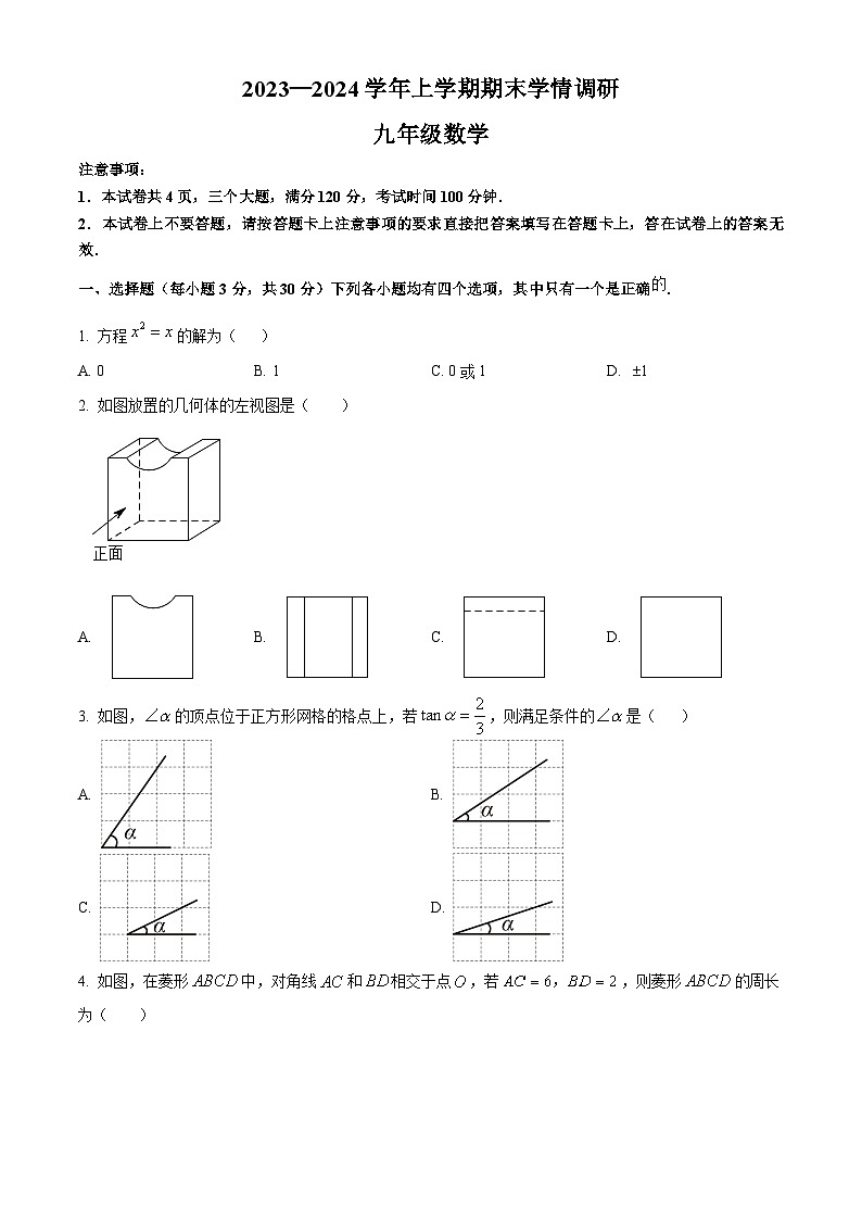 河南省郑州市新郑市2023-2024学年九年级上学期期末数学试题（原卷+解析）01