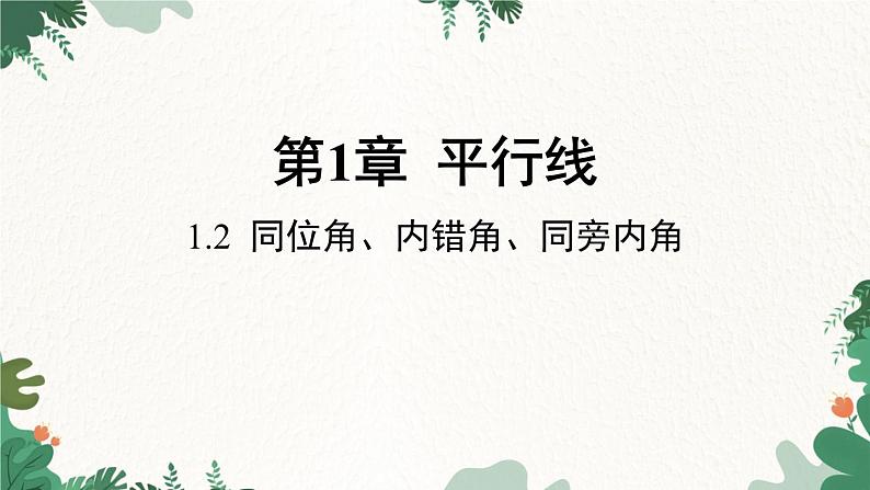 浙教版数学七年级下册 1.2 同位角、内错角、同旁内角课件第1页