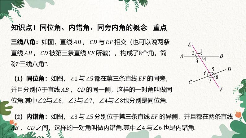 浙教版数学七年级下册 1.2 同位角、内错角、同旁内角课件第3页