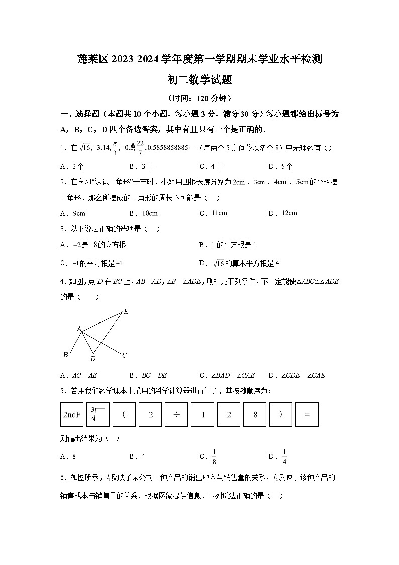 山东省烟台市蓬莱区2023-2024学年七年级上学期期末数学试题(含解析)01