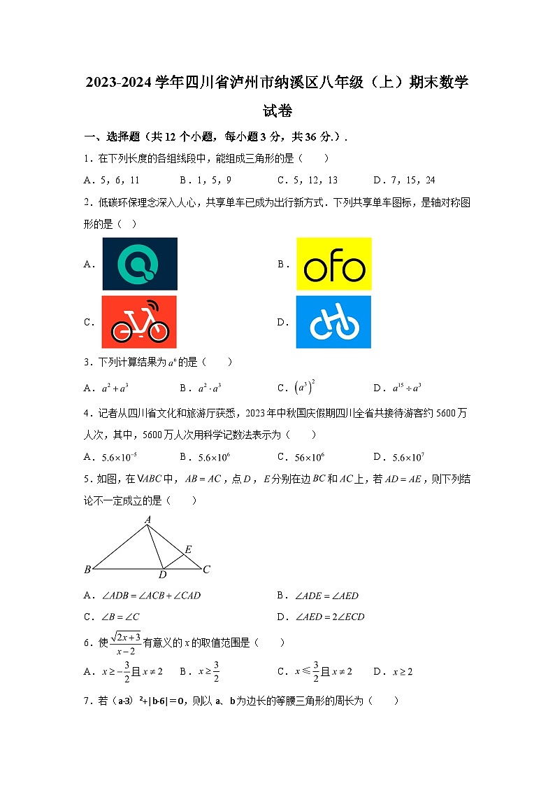 四川省泸州市纳溪区2023-2024学年八年级上学期期末数学试题(含解析)第1页