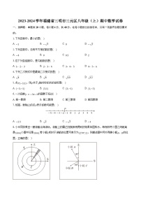 2023-2024学年福建省三明市三元区八年级（上）期中数学试卷（含解析）