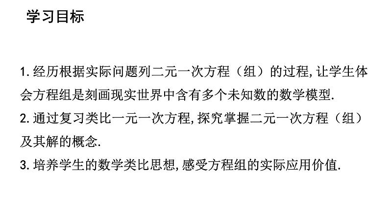 8.1+二元一次方程组+课件+++2023-2024学年人教版七年级数学下册+03