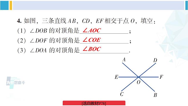 湘教版七年级数学下册 第4章 相交线与平行线 习题4.1（课件）05