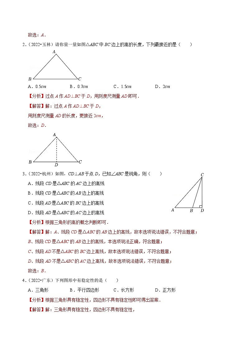 专题19 三角形与全等三角形篇-备考2024年中考数学考点总结+题型专训（全国通用）02