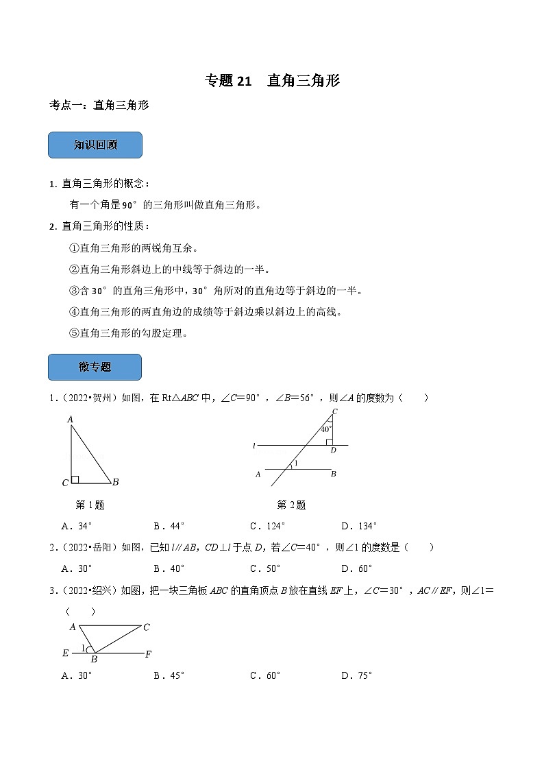 专题21 直角三角形篇-备考2024年中考数学考点总结+题型专训（全国通用）01