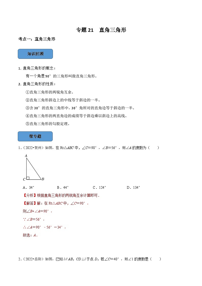 专题21 直角三角形篇-备考2024年中考数学考点总结+题型专训（全国通用）01