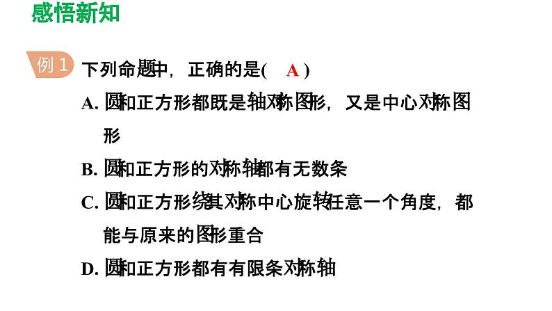 3.2 圆的对称性 北师大版数学九年级下册导学课件05