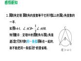 3.4 圆周角和圆心角的关系 北师大版数学九年级下册导学课件