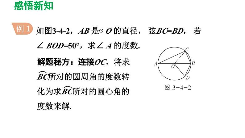 3.4 圆周角和圆心角的关系 北师大版数学九年级下册导学课件第6页