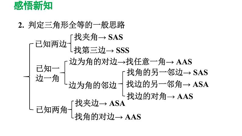 1.1 等腰三角形 北师版数学八年级下册导学课件第4页