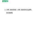 1.1 等腰三角形 北师版数学八年级下册导学课件