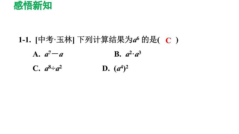 1.3 同底数幂的除法 北师大版数学七年级下册导学课件第7页