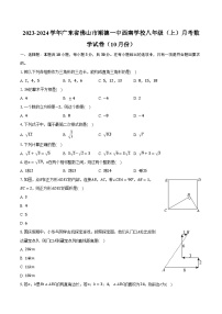 2023-2024学年广东省佛山市顺德一中西南学校八年级（上）月考数学试卷（10月份）（含解析）