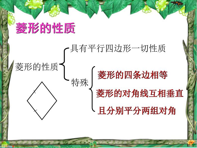 6.3正方形的性质与判定 (1)　课件　2021—2022学年鲁教版（五四制）数学八年级下册02