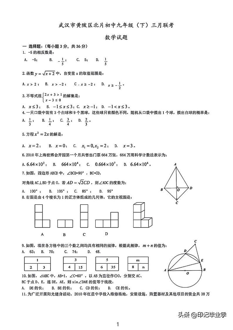2024武汉市黄陂北片区九年级下二月月考数学试卷第1页