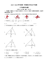 山东省聊城市莘县2023-2024学年八年级上学期期末数学试题（原卷版+解析版）