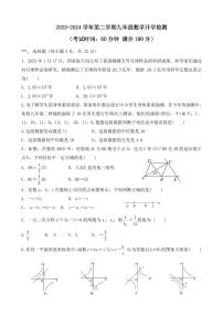 山东省禹城市李屯乡中学2023-—2024学年下学期开学检测九年级数学试题