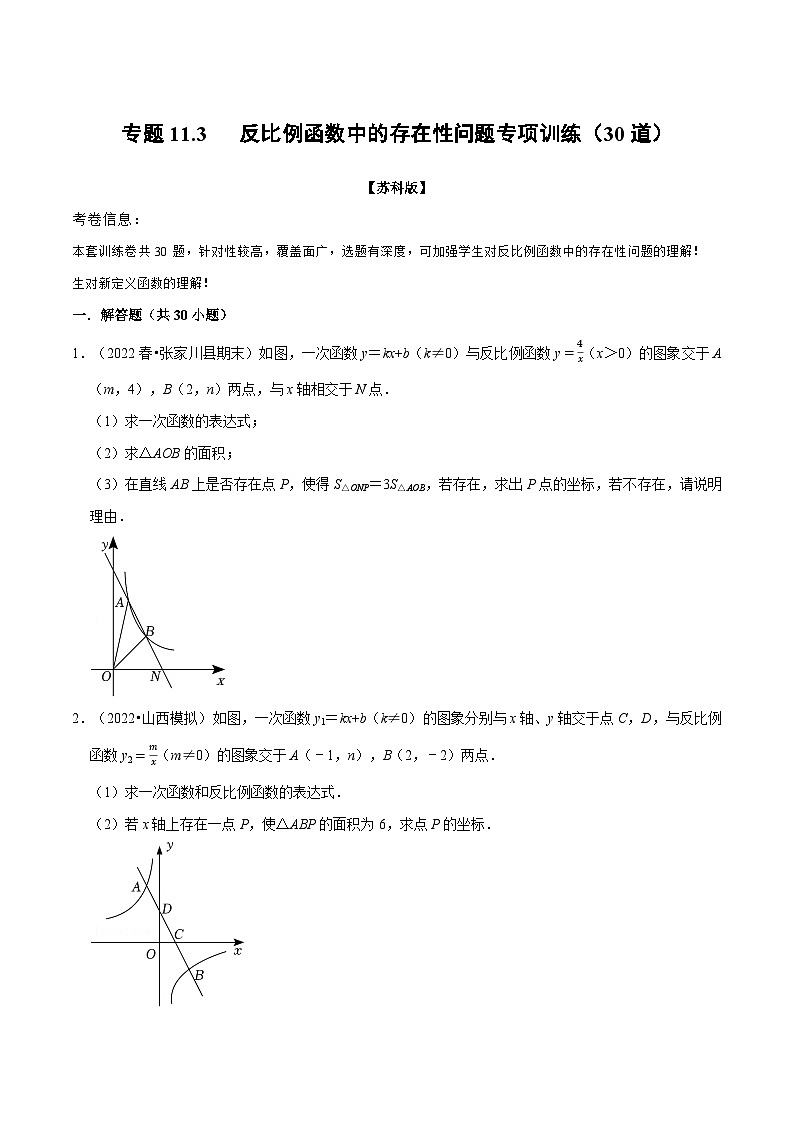 专题11.3 反比例函数中的存在性问题专项训练（30道）-2022-2023学年八年级数学下册举一反三系列（苏科版）01