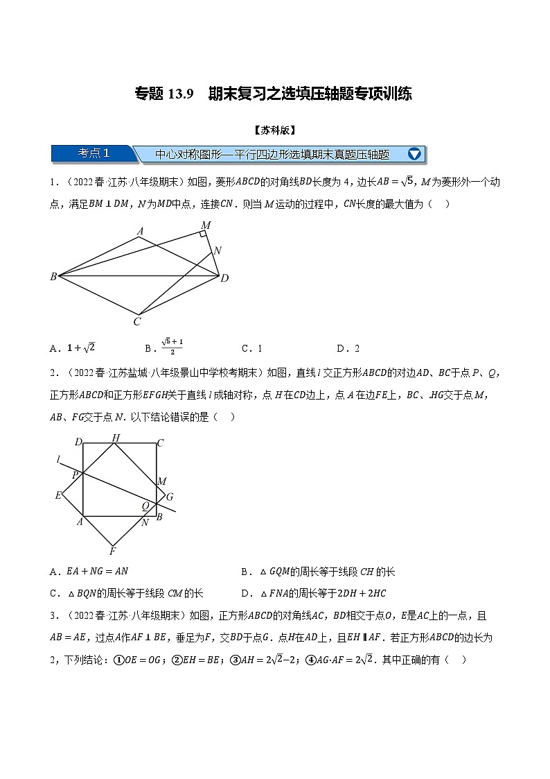 专题13.9 期末复习之选填压轴题专项训练（苏科版）（原卷版）第1页