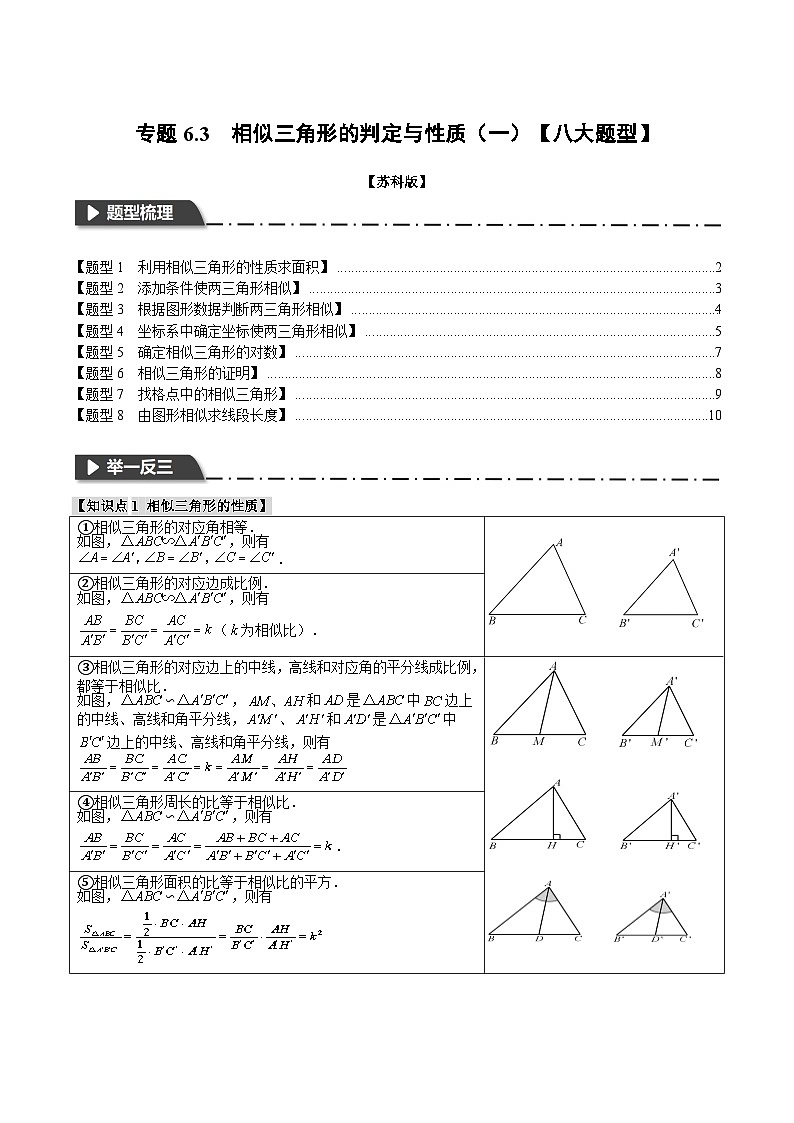 专题6.3 相似三角形的判定与性质（一）【八大题型】（举一反三）（苏科版）（原卷版）第1页